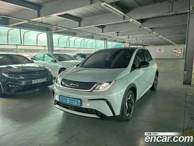 BYD Dolphin, 2026, 20 км