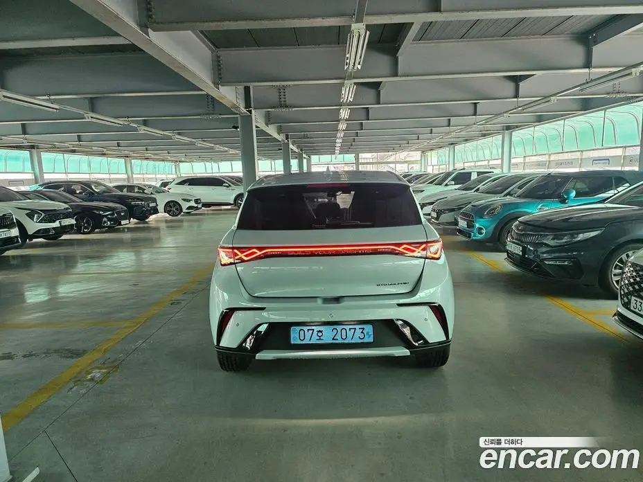 BYD Dolphin 2026 0.3 автомат (гидро), фото 3