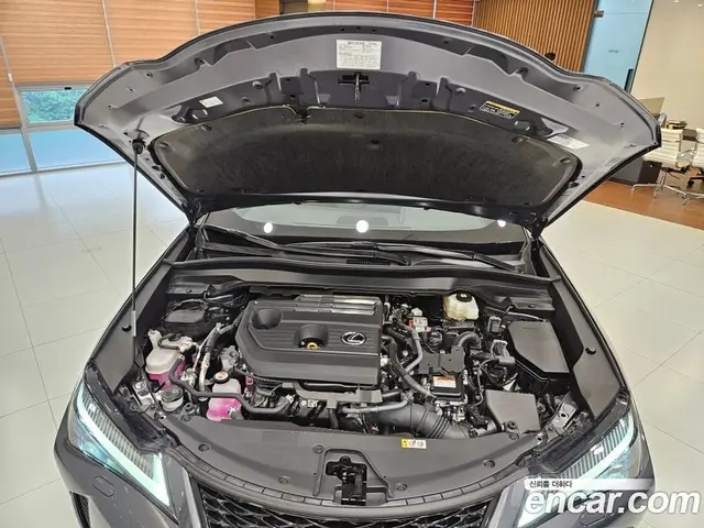 Lexus UX 2025 2.0 автомат (вариатор), миниатюра 6