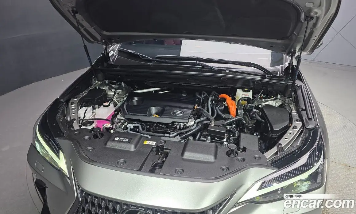Lexus NX 2025 2.5 автомат (гидро), фото 5