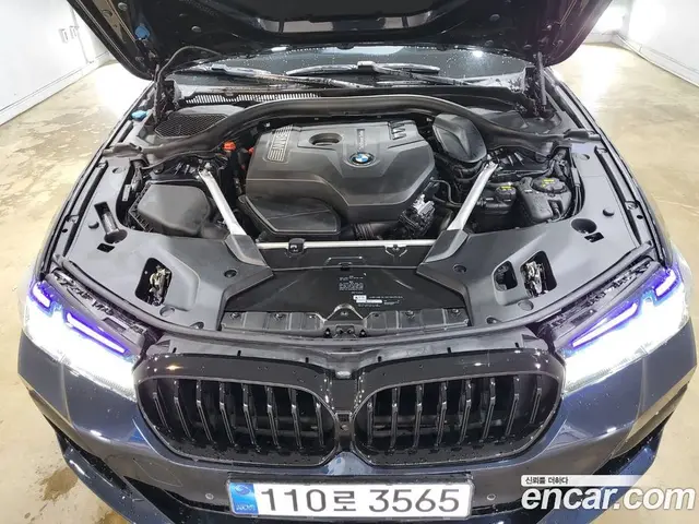BMW 5 серия 2019 2.0 автомат (гидро), миниатюра 12