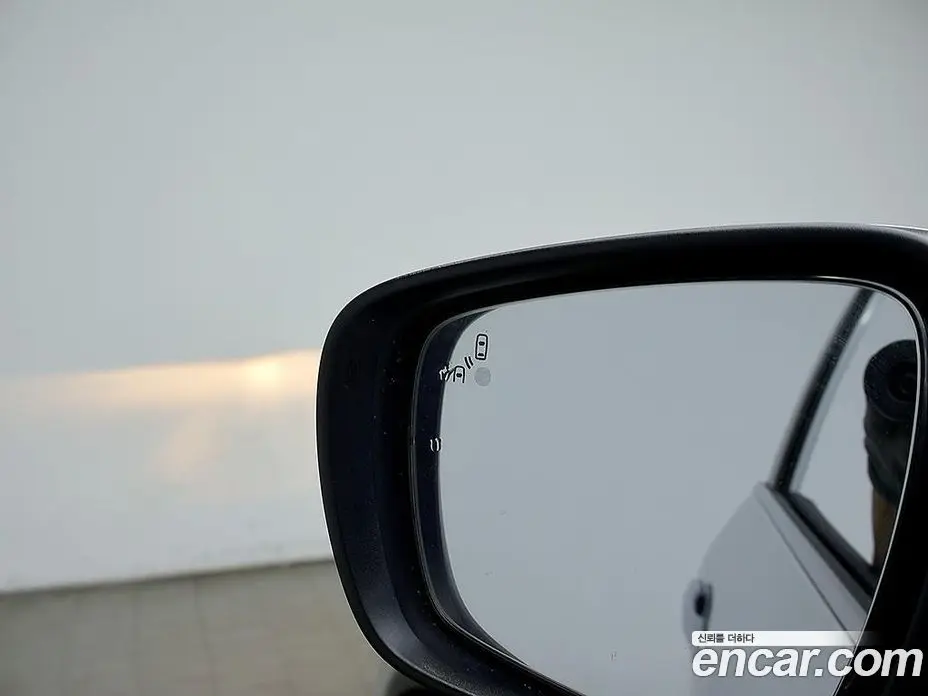 Renault (Samsung) QM6 2020 2.0 автомат (гидро), фото 18