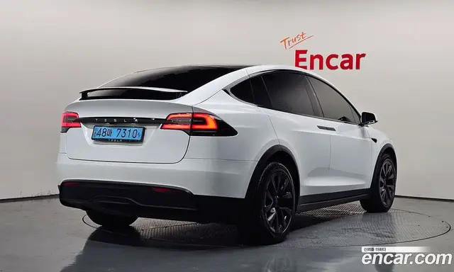 Tesla Model X, 2023, 47 868 км