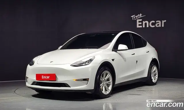 Tesla Model Y, 2022, 163 310 км