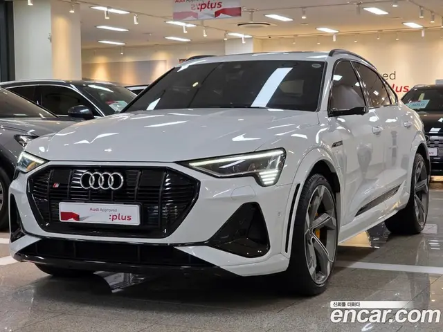 Audi e-tron, 2023, 54 464 км