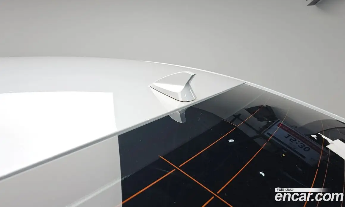 Renault (Samsung) SM6 2019 2.0 автомат (гидро), фото 34