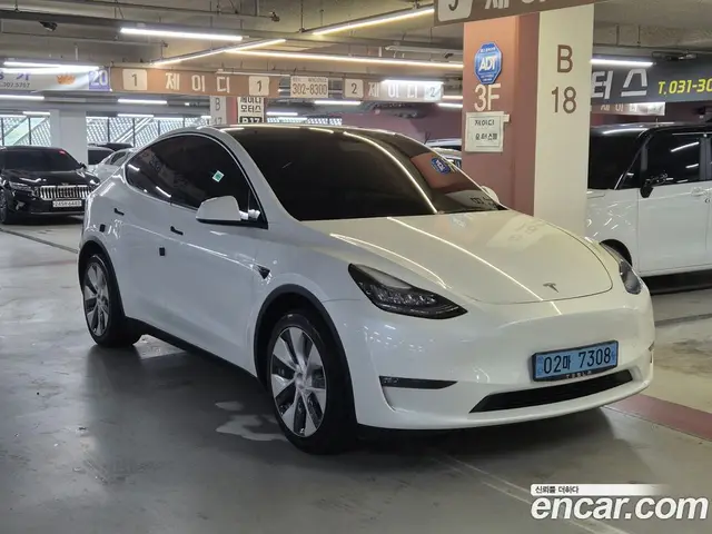 Tesla Model Y, 2021, 53 896 км