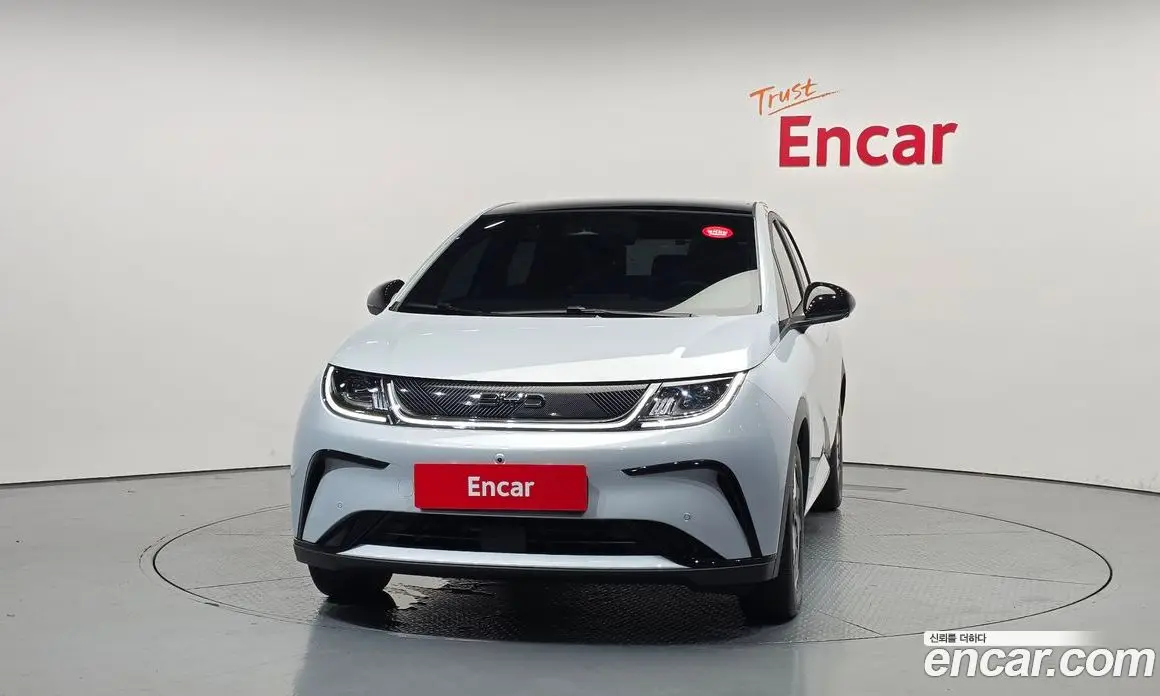 BYD Dolphin 2026 0.1 автомат (гидро), фото 3