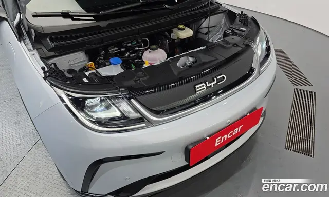 BYD Dolphin 2026 0.1 автомат (гидро), миниатюра 6