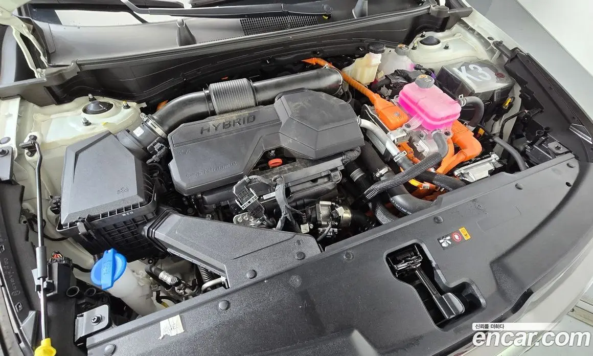 Kia Sportage 2025 1.6 автомат (гидро), фото 6