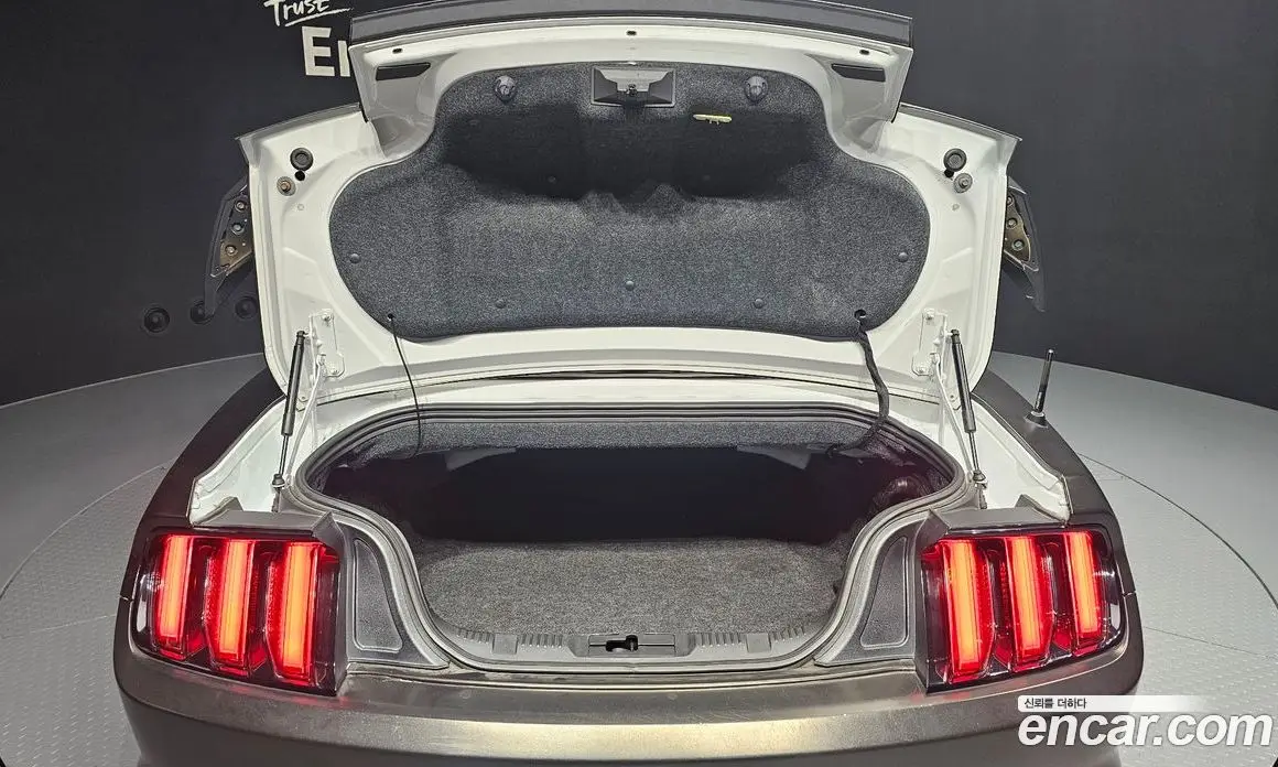 Ford Mustang 2015 2.3 автомат (гидро), фото 20