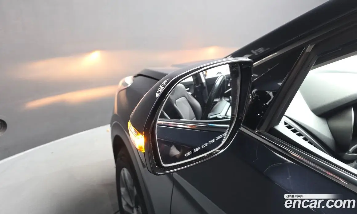 Hyundai Santa Fe 2017 2.0 автомат (гидро), фото 29