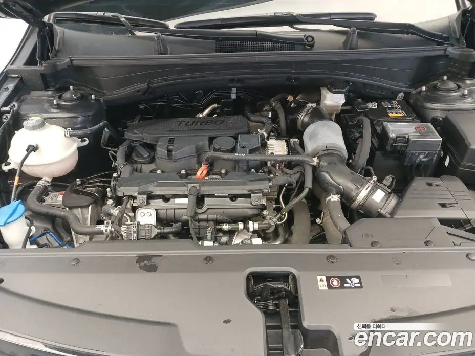 Kia Sportage 2022 1.6 автомат (гидро), фото 20