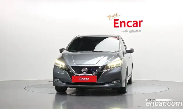 Nissan Leaf 2019 0.1 автомат (гидро), миниатюра 2