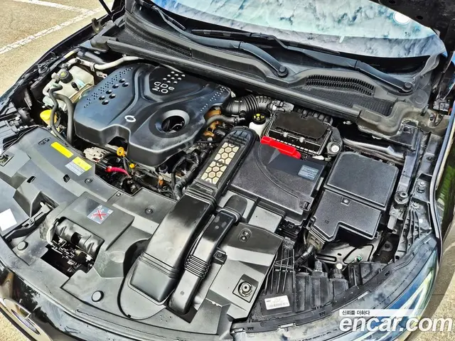 Renault (Samsung) SM6 2016 2.0 автомат (гидро), миниатюра 7