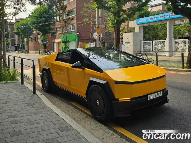Tesla Cybertruck, 2025, 11 000 км
