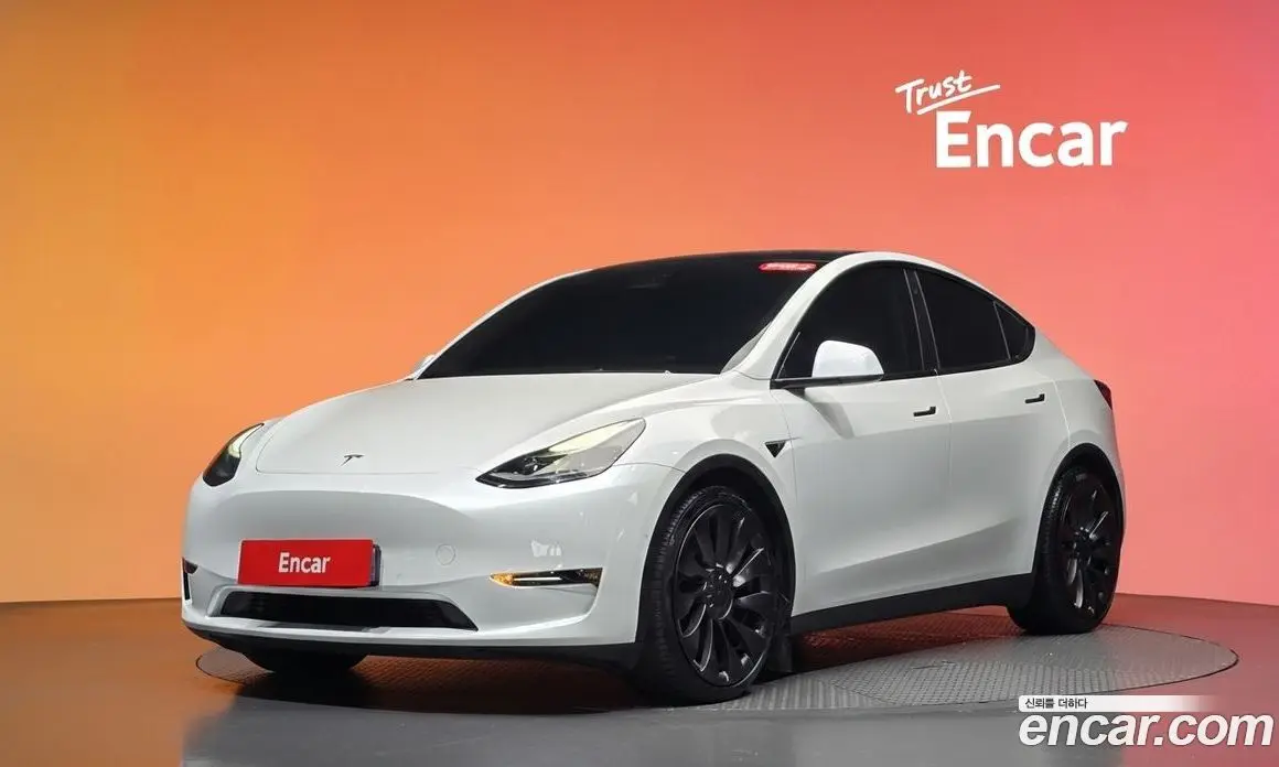 Tesla Model Y 2021 0.2 автомат (гидро), фото 32