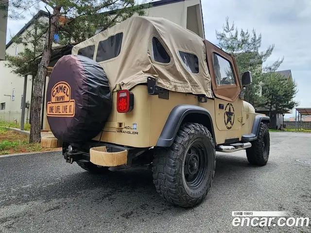 Jeep Wrangler 1992 4.0 механика, миниатюра 3