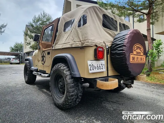Jeep Wrangler 1992 4.0 механика, миниатюра 4