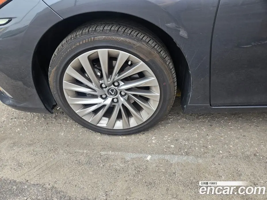 Lexus ES 2024 2.5 автомат (гидро), фото 18