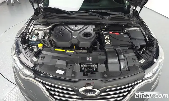 Renault (Samsung) SM6 2019 2.0 автомат (гидро), миниатюра 5