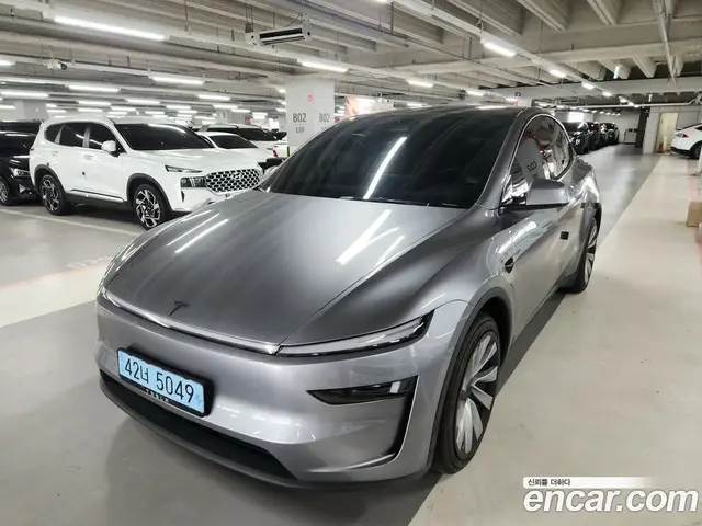 Tesla Model Y, 2025, 9 000 км