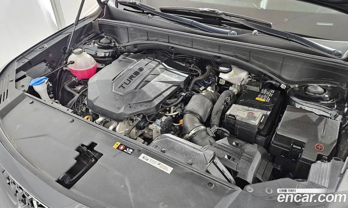 Kia Sorento 2023 2.2 автомат (гидро), фото 6