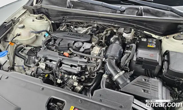 Kia Sportage 2021 1.6 автомат (гидро), миниатюра 6