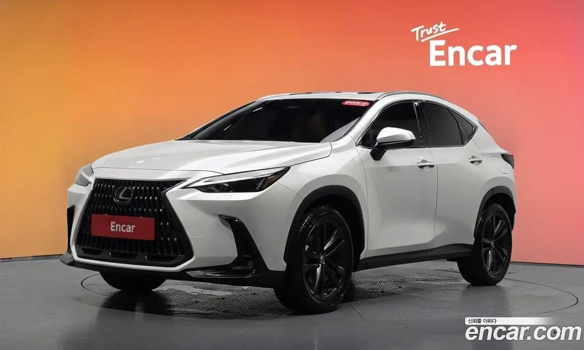 Lexus NX 2025 2.5 автомат (гидро), фото 30