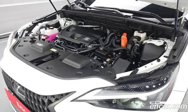 Lexus NX 2025 2.5 автомат (гидро), миниатюра 5