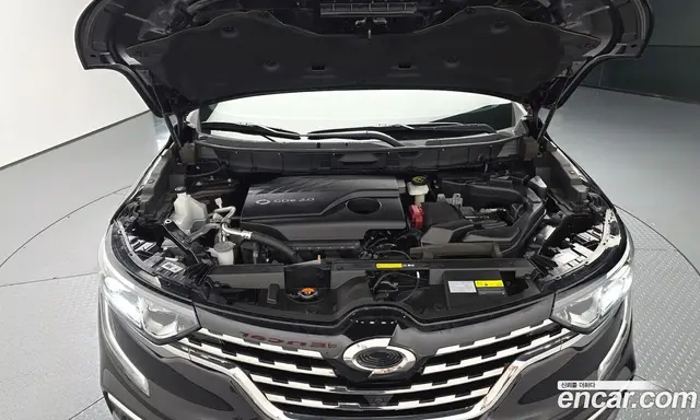 Renault (Samsung) QM6 2019 2.0 автомат (гидро), миниатюра 6