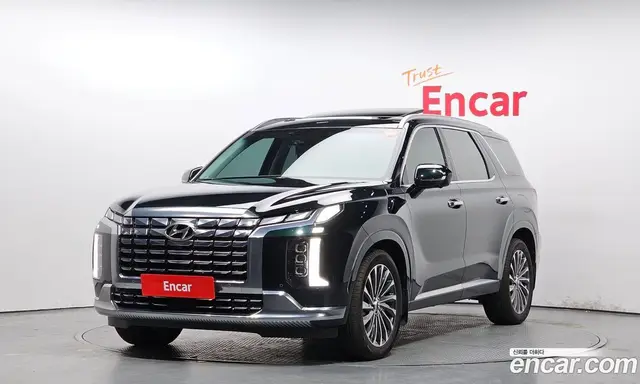 Hyundai Palisade, 2023, 19 306 км