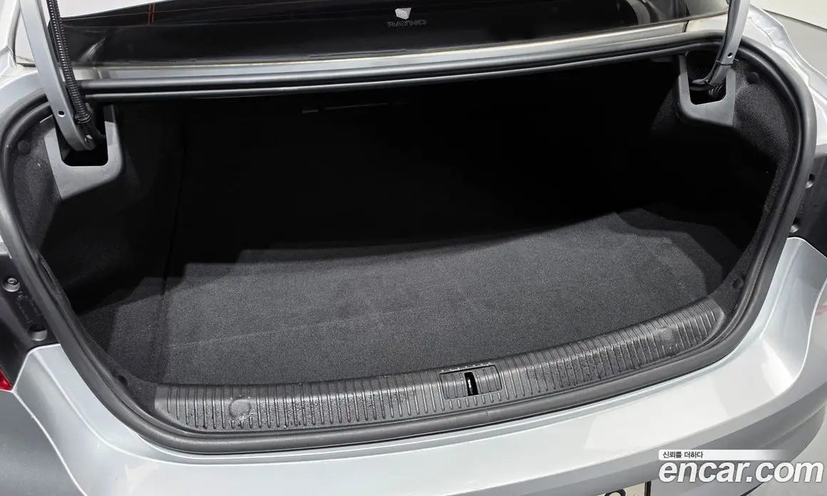 Renault (Samsung) SM6 2019 2.0 автомат (гидро), фото 19