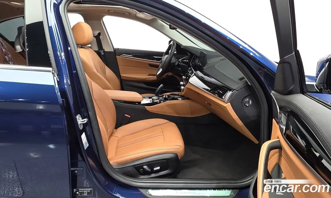 BMW 5 серия 2018 2.0 автомат (гидро), фото 16