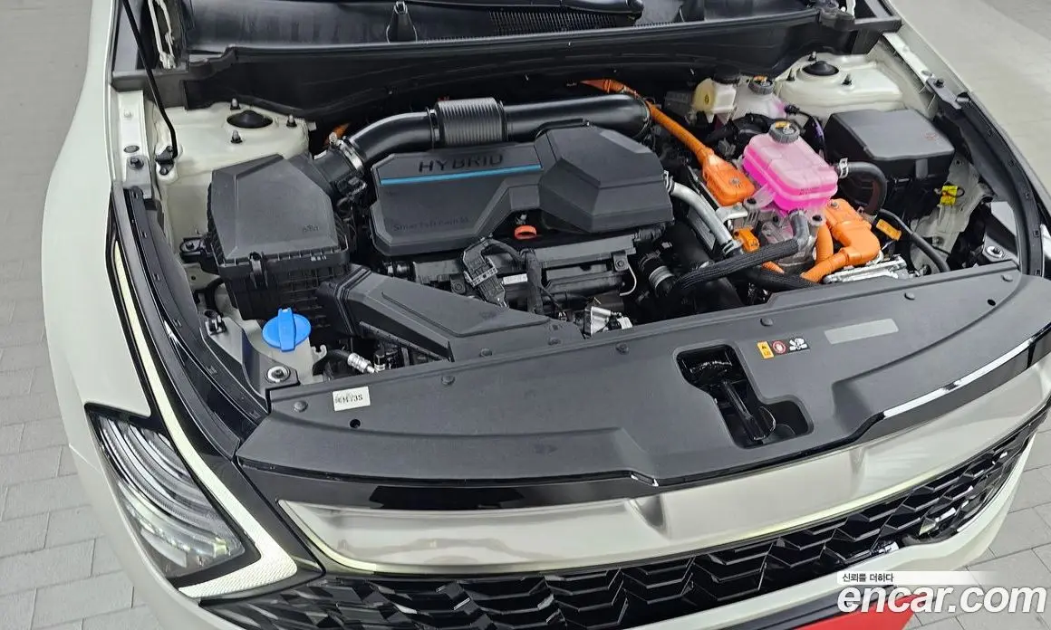 Kia Sportage 2024 1.6 автомат (гидро), фото 6