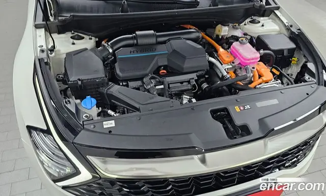 Kia Sportage 2024 1.6 автомат (гидро), миниатюра 6