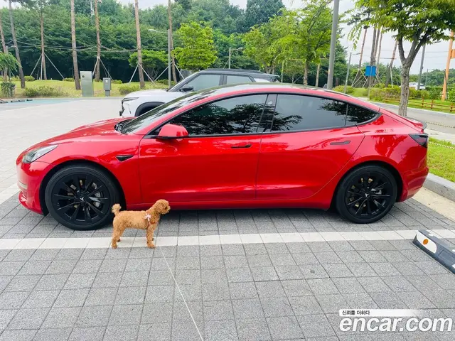 Tesla Model 3, 2022, 4 600 км
