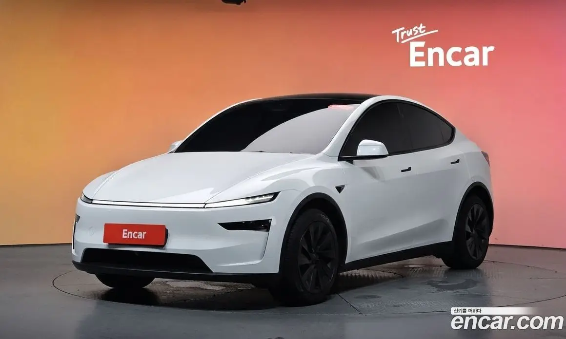 Tesla Model Y 2025 0.2 автомат (гидро), фото 33