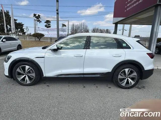 Audi Q8 e-tron 2024 автомат (гидро), миниатюра 11