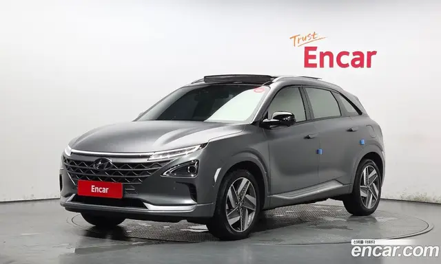 Hyundai Nexo, 2024, 18 708 км
