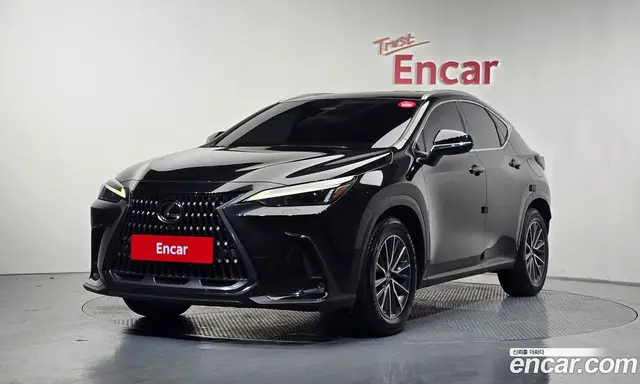 Lexus NX, 2023, 60 665 км