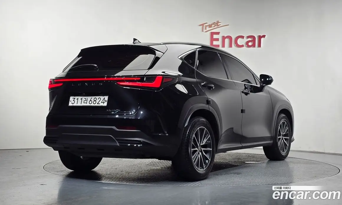 Lexus NX 2023 2.5 автомат (гидро), фото 2