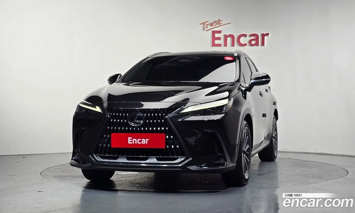 Lexus NX 2023 2.5 автомат (гидро), фото 3