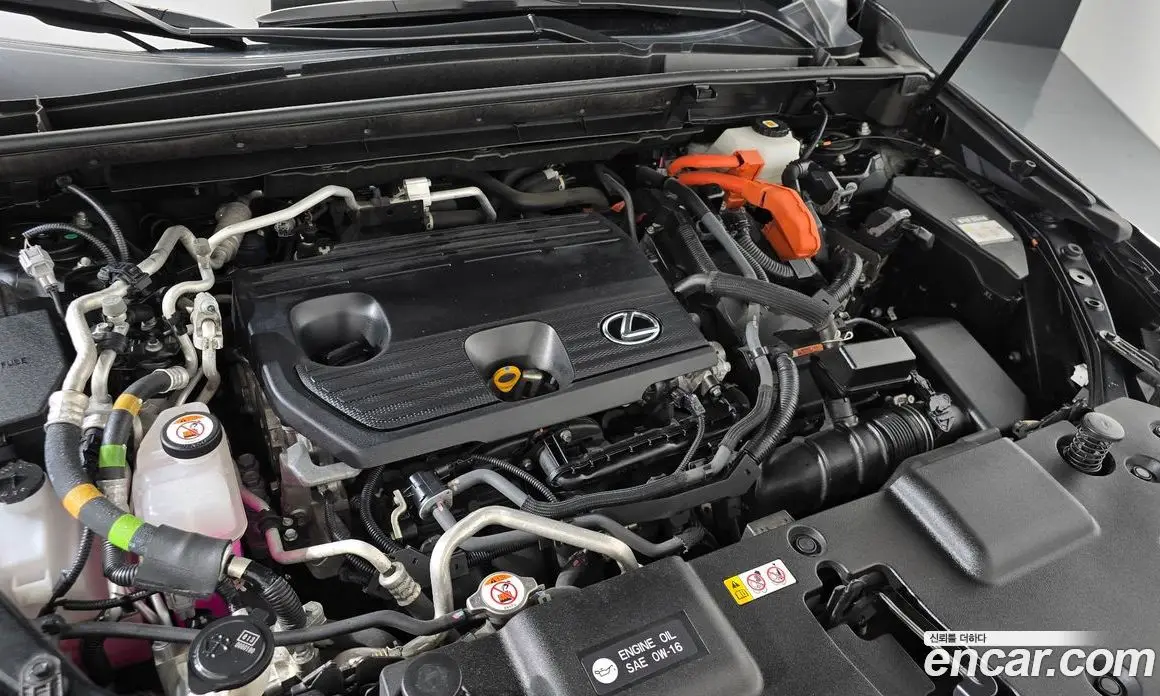 Lexus NX 2023 2.5 автомат (гидро), фото 6