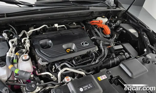 Lexus NX 2023 2.5 автомат (гидро), миниатюра 6