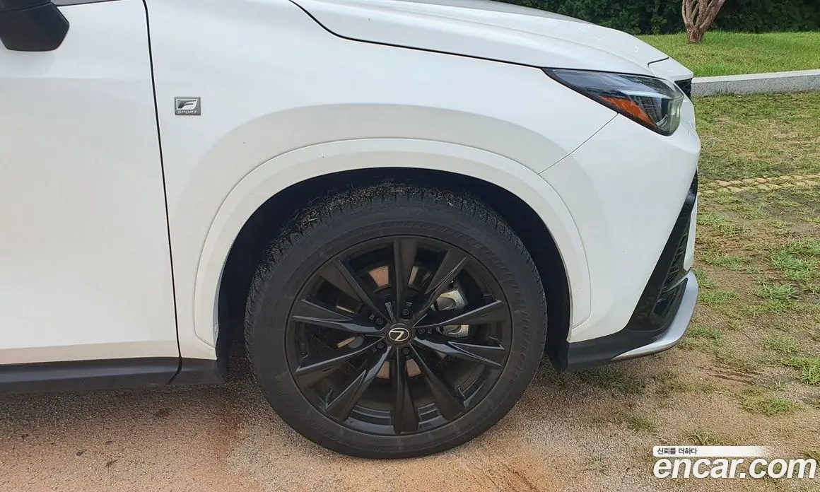 Lexus NX 2025 2.5 автомат (гидро), фото 13