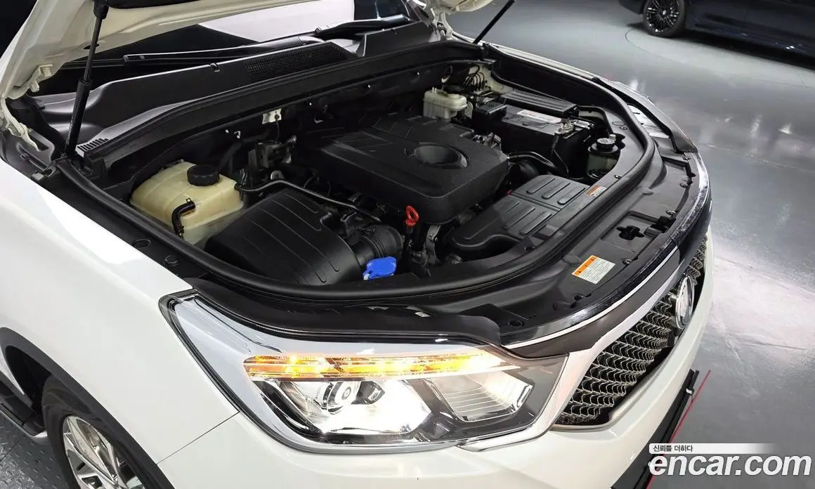 SsangYong Rexton 2019 2.2 автомат (гидро), фото 6