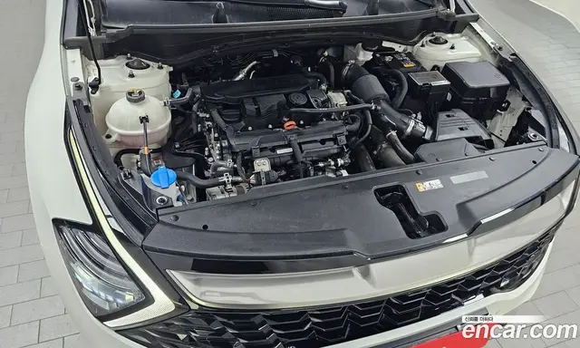 Kia Sportage 2023 1.6 автомат (гидро), миниатюра 6