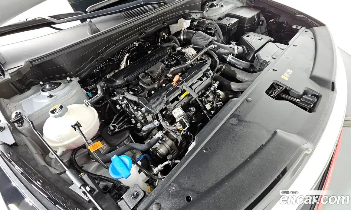 Kia Sportage 2025 1.6 автомат (гидро), фото 6