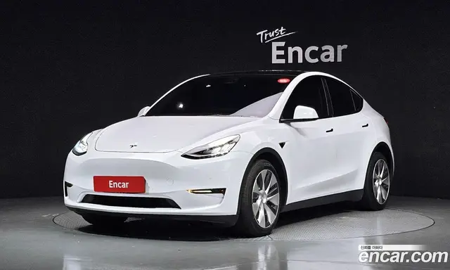 Tesla Model Y, 2021, 66 865 км
